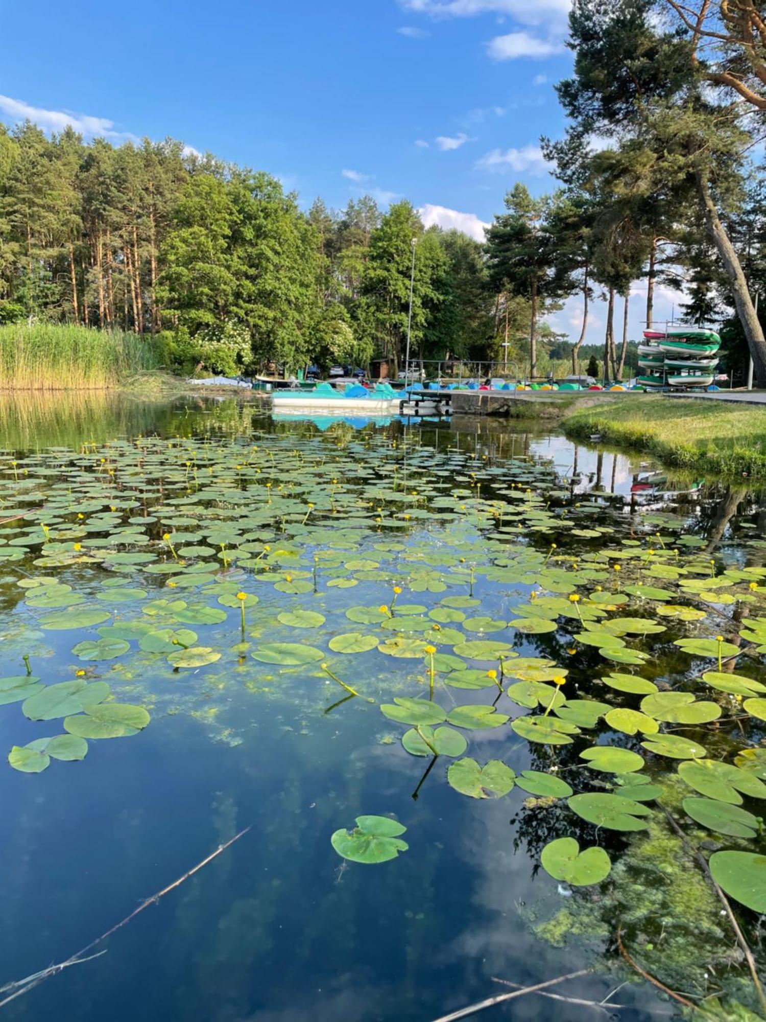 Osrodek Wypoczynkowy "Julia" W Samociazku Samociazek Exterior foto